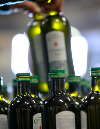 frantoio-trevi-olio-produzione-12 Il frantoio