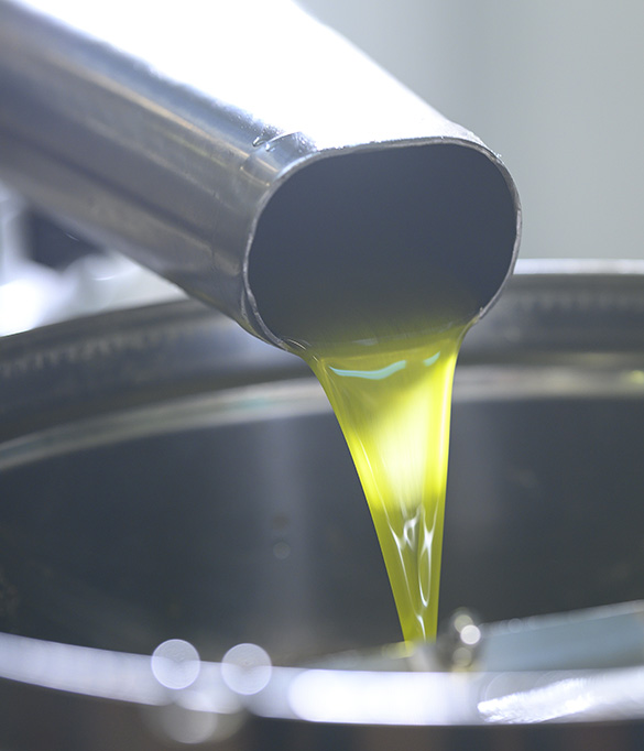 olio-trevi-frantoio-olive Il frantoio