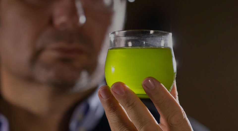 frantoio-trevi-olio-blend-5 Parliamo di noi al TG Regionale